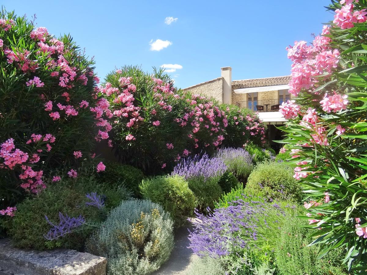 Le Jas De Gordes Hotel Екстериор снимка