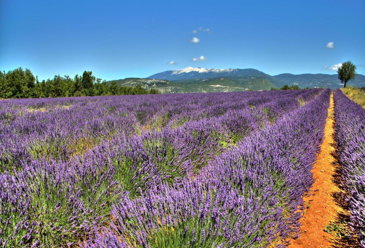Le Jas De Gordes Hotel Екстериор снимка